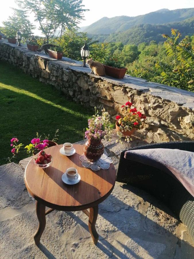 Yancheva Guest House Delchevo Exterior foto