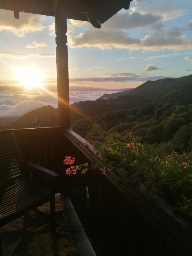 Yancheva Guest House Delchevo Exterior foto